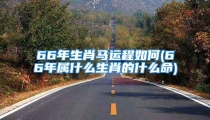 66年生肖马运程如何(66年属什么生肖的什么命)