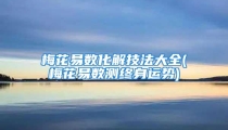 梅花易数化解技法大全(梅花易数测终身运势)