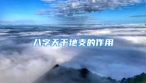 八字天干地支的作用