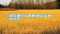 桃花是什么意思(桃花运测试八字)