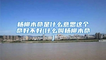 杨柳木命是什么意思这个命好不好(什么叫杨柳木命)