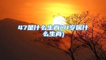 47是什么生肖(71岁属什么生肖)
