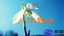 八字速查表 算命工具(电子算命八字)
