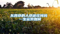 东四命的人命途坎坷吗 一生运势如何