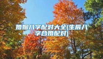 婚姻八字配对大全(生辰八字合婚配对)