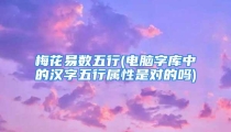 梅花易数五行(电脑字库中的汉字五行属性是对的吗)
