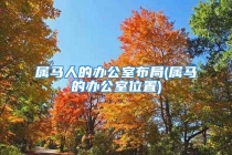 属马人的办公室布局(属马的办公室位置)