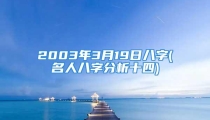 2003年3月19日八字(名人八字分析十四)