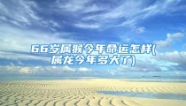 66岁属猴今年命运怎样(属龙今年多大了)