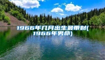 1966年几月出生最带财(1966年男命)