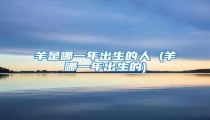 羊是哪一年出生的人 (羊哪一年出生的)