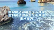 梦到房子漏水是什么预兆(梦到房子漏水是什么预兆,亲人在哭)