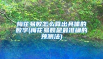 梅花易数怎么算出具体的数字(梅花易数是最准确的预测法)