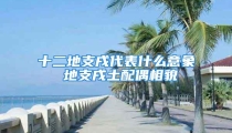 十二地支戌代表什么意象 地支戌土配偶相貌