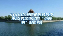 4000个好听的男孩名字小名(男宝小名叫“小海豹”好听吗)