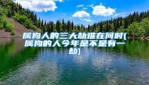 属狗人的三大劫难在何时(属狗的人今年是不是有一劫)
