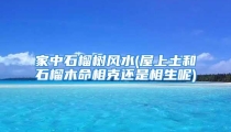 家中石榴树风水(屋上土和石榴木命相克还是相生呢)