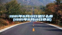 1981年6月19日是什么命 (1981年6月19日命运)