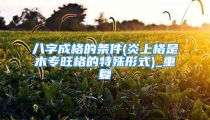 八字成格的条件(炎上格是木专旺格的特殊形式)_重复
