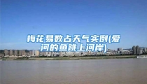 梅花易数占天气实例(爱河的鱼跳上河岸)