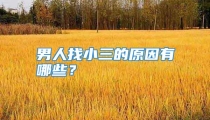男人找小三的原因有哪些？