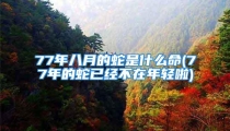 77年八月的蛇是什么命(77年的蛇已经不在年轻啦)