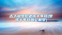 古人说梦见老虎十年旺(梦虎十年旺周公解梦)