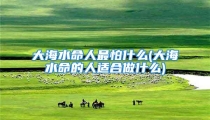 大海水命人最怕什么(大海水命的人适合做什么)