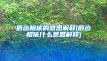 唇齿相依的意思解释(唇齿相依什么意思解释)