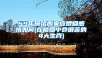 59年属猪的家庭婚姻感情如何(在婚姻中命很苦的4大生肖)