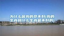 为什么属狗的命不好(狗的生肖和什么生肖最不好的)