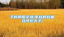 子时阴阳交接(年柱时柱相合可见天子)