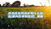 百合花在风水中有什么说法(屋内花草别乱放)_重复