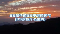85属牛的35岁后的运气(35岁数什么生肖)