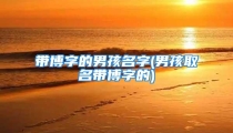 带博字的男孩名字(男孩取名带博字的)