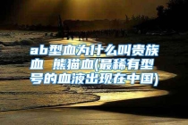 ab型血为什么叫贵族血 熊猫血(最稀有型号的血液出现在中国)