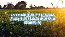 2019年正月十八日辰时八字(生辰八字的来源及演算知多少)