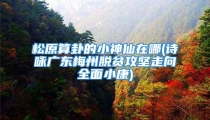 松原算卦的小神仙在哪(诗咏广东梅州脱贫攻坚走向全面小康)