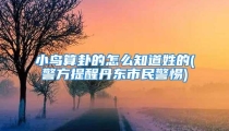 小鸟算卦的怎么知道姓的(警方提醒丹东市民警惕)