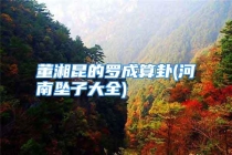 董湘昆的罗成算卦(河南坠子大全)