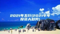 2021年五行(2021牛年投资大趋势)