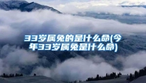 33岁属兔的是什么命(今年33岁属兔是什么命)