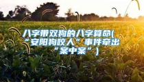 八字带双狗的八字算命(“安阳狗咬人”事件牵出“案中案”)