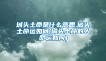 城头土命是什么意思,城头土命运如何(城头土命的人命运如何)
