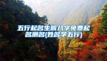 五行起名生辰八字免费起名测名(姓名学五行)