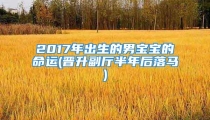 2017年出生的男宝宝的命运(晋升副厅半年后落马)