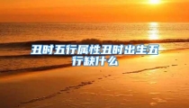 丑时五行属性丑时出生五行缺什么