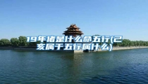 19年猪是什么命五行(己亥属于五行属什么)