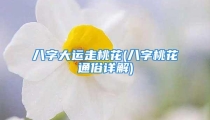 八字大运走桃花(八字桃花通俗详解)