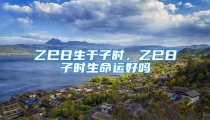乙巳日生于子时,乙巳日子时生命运好吗